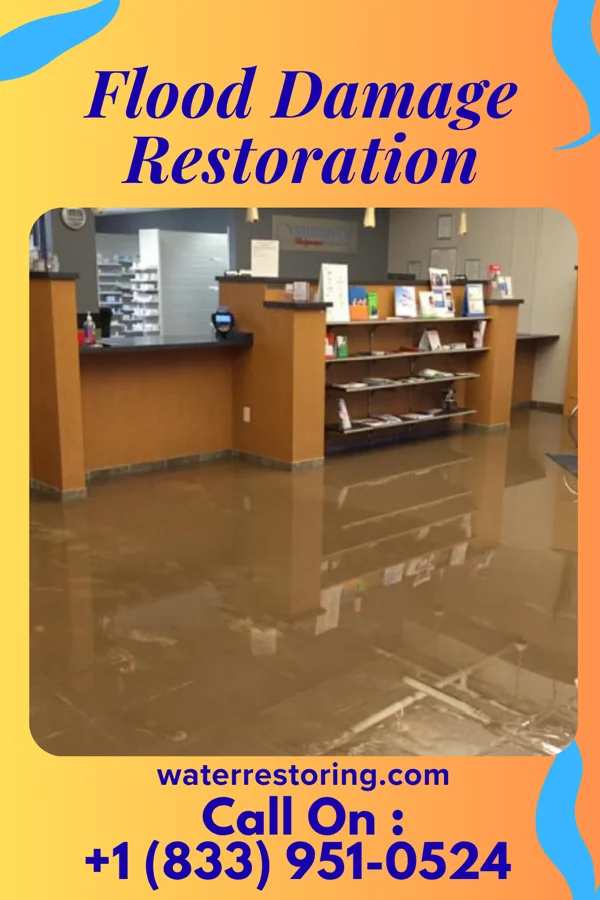 Flood Damage Restoration in Woodcreek, TX