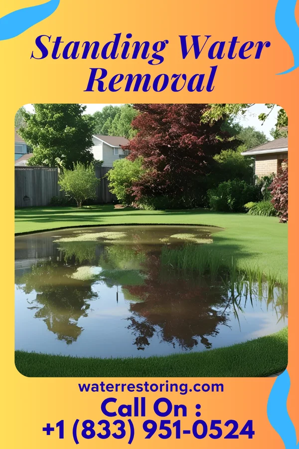Standing Water Removal in Woodcreek, TX